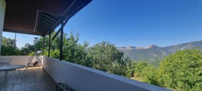 WhatsApp-Image-2025-07-28-at-11-35-50--2-