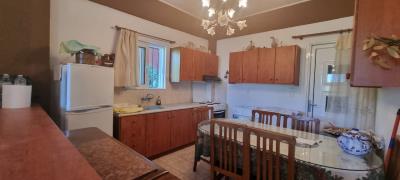 WhatsApp-Image-2025-07-28-at-11-35-51--1-