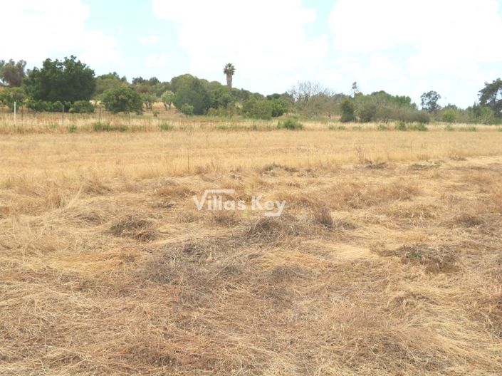 Image No.3-Terrain à vendre à Lagos