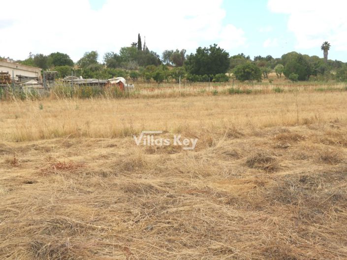 Image No.4-Terrain à vendre à Lagos