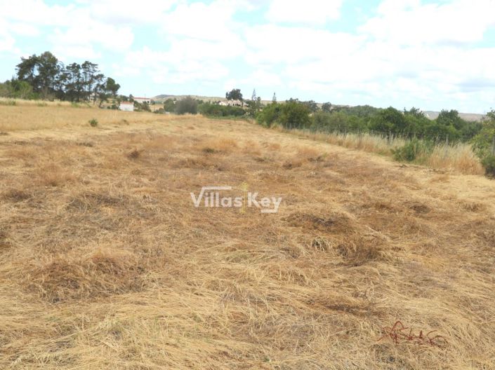 Image No.5-Terrain à vendre à Lagos