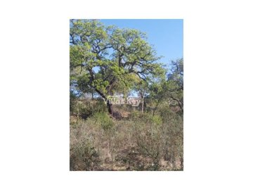 id0872ef00-0000-0500-0000-00001028e30b