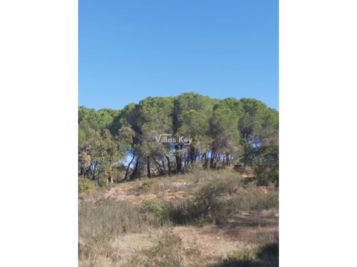 Image No.2-Terrain à vendre à Silves