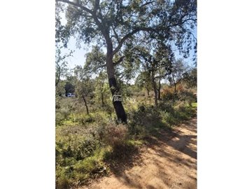 id0872ef00-0000-0500-0000-00000921af16