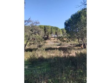 id0872ef00-0000-0500-0000-00000921af18