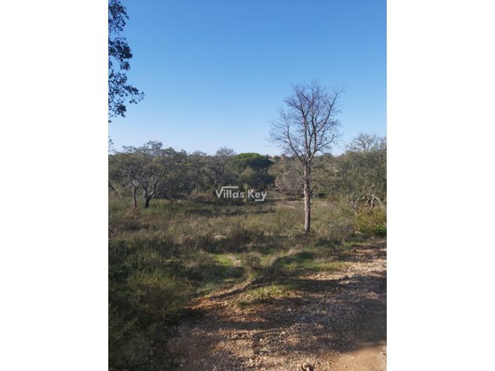 Image No.7-Terrain à vendre à Silves