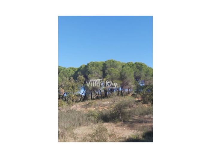 Image No.9-Terrain à vendre à Silves