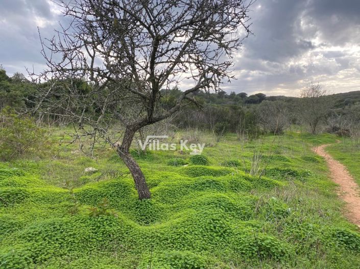 Image No.12-Maison de 9 chambres à vendre à Lagos