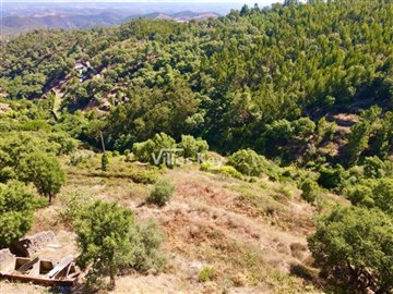 idf4d04801-0000-0500-0000-00000ead86c1