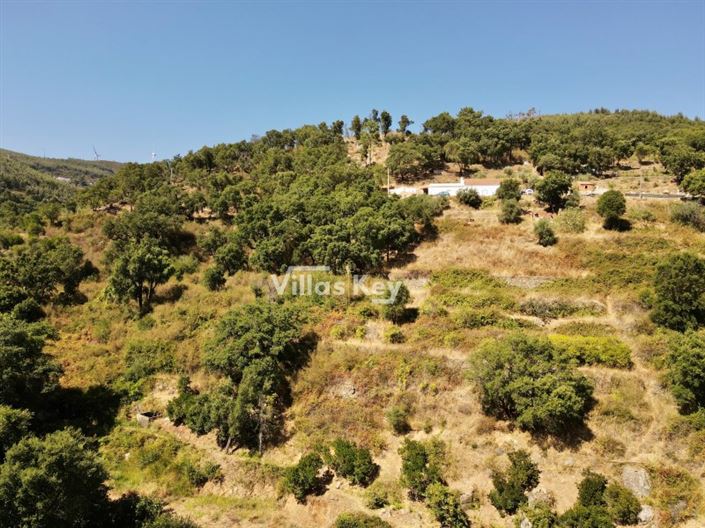 Image No.15-Terrain à vendre à Monchique