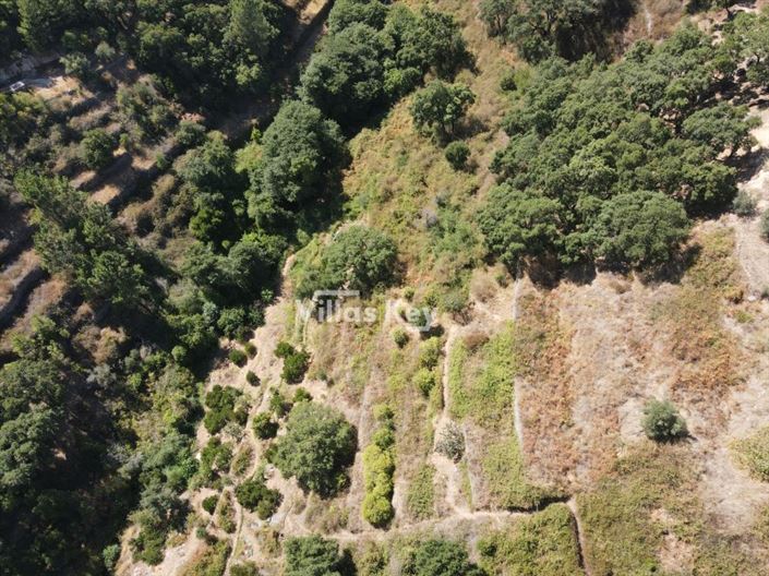 Image No.18-Terrain à vendre à Monchique
