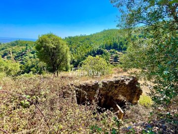 idf4d04801-0000-0500-0000-00000ead86b3