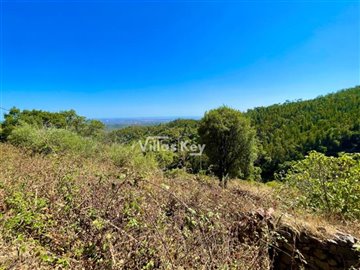 idf4d04801-0000-0500-0000-00000ead86b5