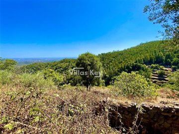 idf4d04801-0000-0500-0000-00000ead86b9