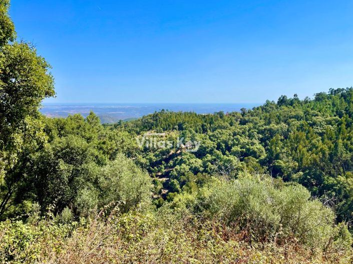 Image No.6-Terrain à vendre à Monchique