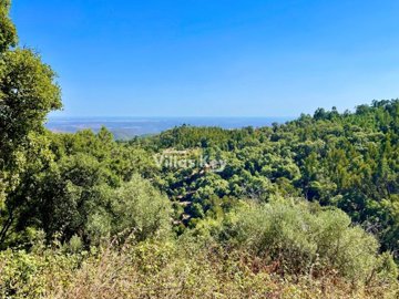 idf4d04801-0000-0500-0000-00000ead86ba