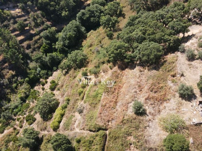 Image No.8-Terrain à vendre à Monchique