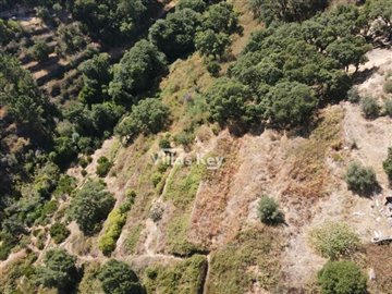 idf4d04801-0000-0500-0000-00000ead86be