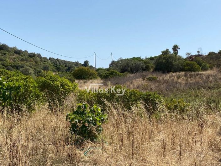 Image No.3-Plot for sale