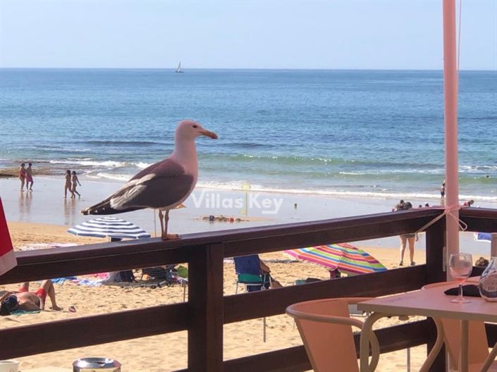 Image No.4-Appartement de 1 chambre à vendre à Silves