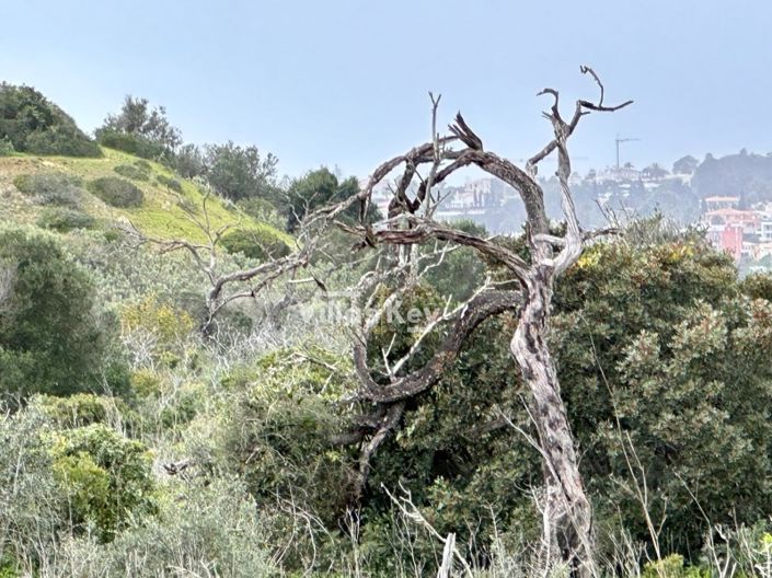 Image No.6-Farmhouse for sale