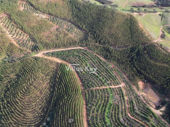 Image No.3-Ferme à vendre à Odemira