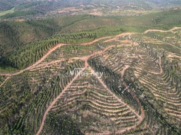 idda396501-0000-0500-0000-000010c5de01