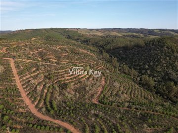 idda396501-0000-0500-0000-000010c5de03