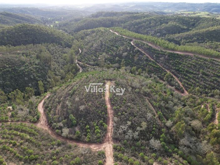 Image No.15-Ferme à vendre à Odemira