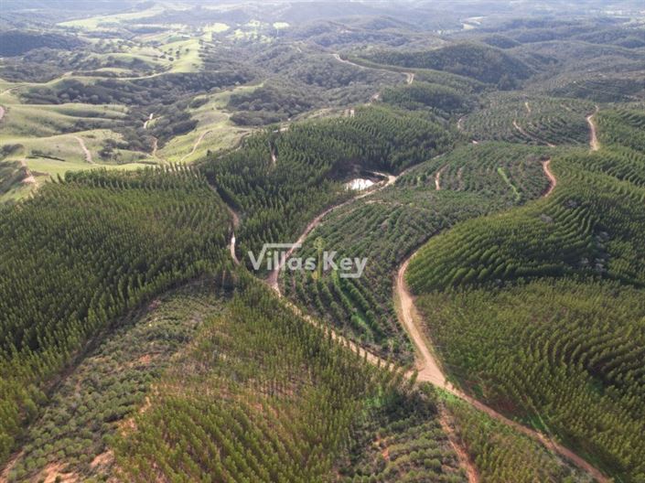 Image No.2-Ferme à vendre à Odemira