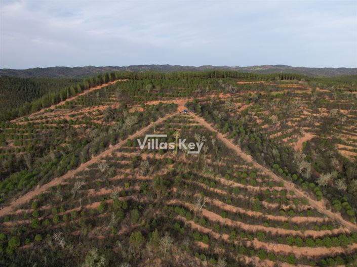 Image No.7-Ferme à vendre à Odemira