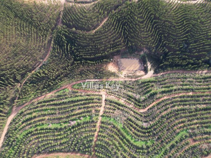 Image No.6-Ferme à vendre à Odemira