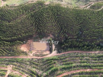 idda396501-0000-0500-0000-000010c5ddfe