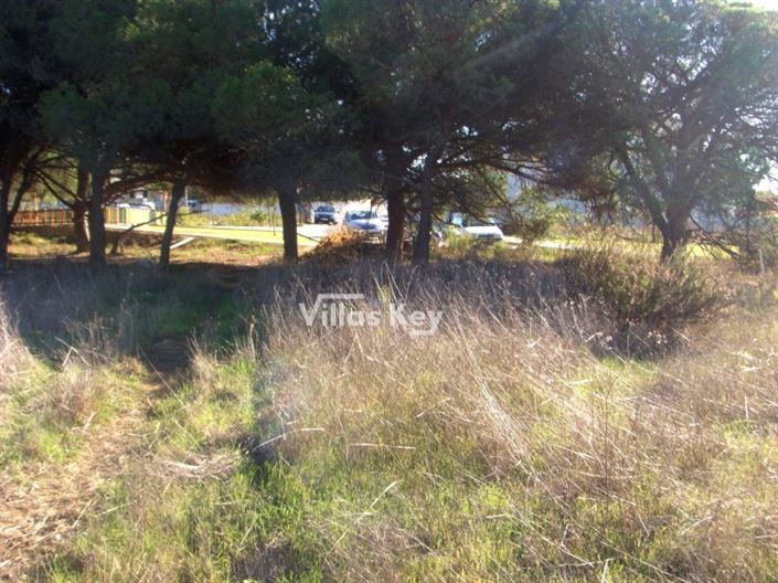 Image No.2-Plot for sale