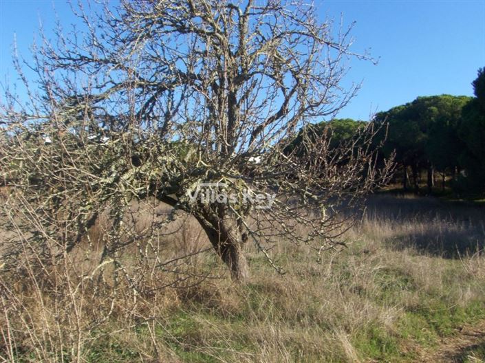 Image No.4-Plot for sale