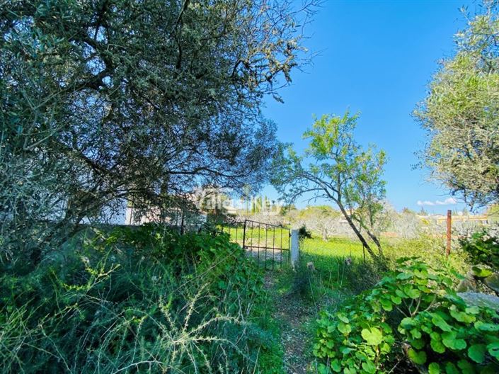 Image No.10-Plot for sale