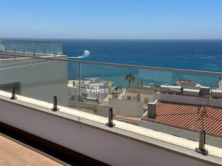 Image No.4-6 Bed Commercial for sale