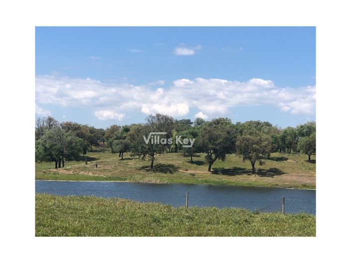 Image No.3-Ferme de 8 chambres à vendre à Silves