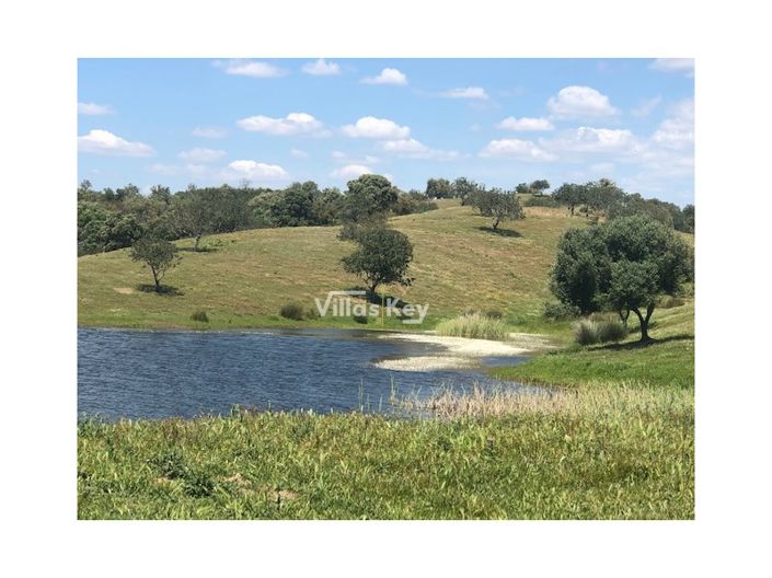Image No.8-Ferme de 8 chambres à vendre à Silves