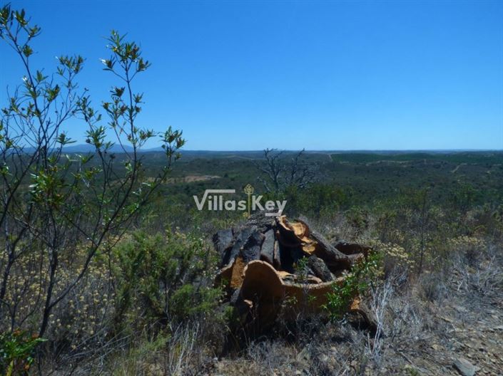 Image No.17-Terrain à vendre à Lagos