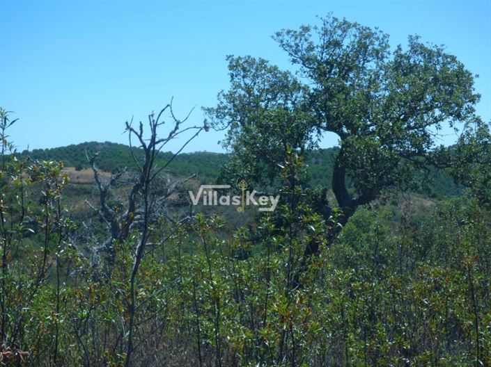 Image No.18-Terrain à vendre à Lagos