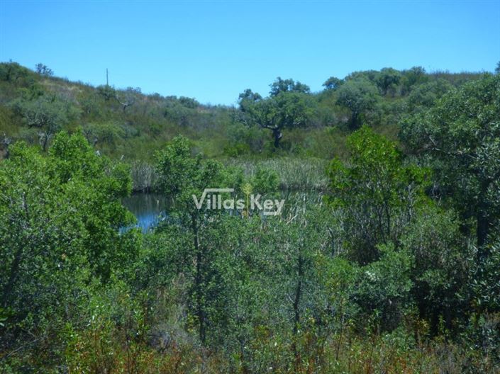 Image No.22-Terrain à vendre à Lagos