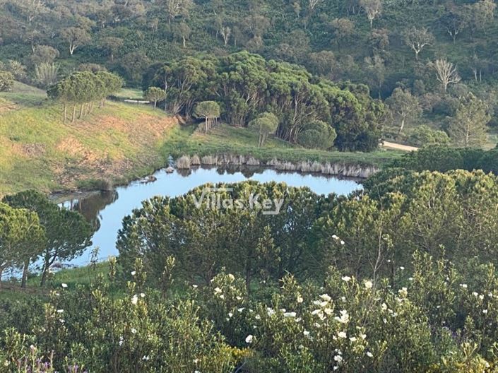 Image No.24-Terrain à vendre à Lagos