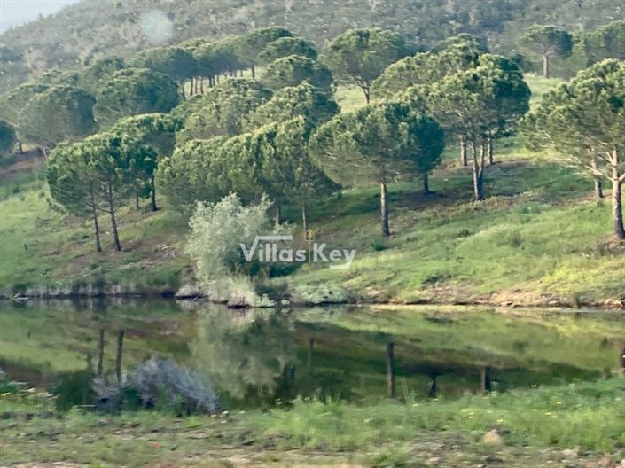 Image No.7-Terrain à vendre à Lagos