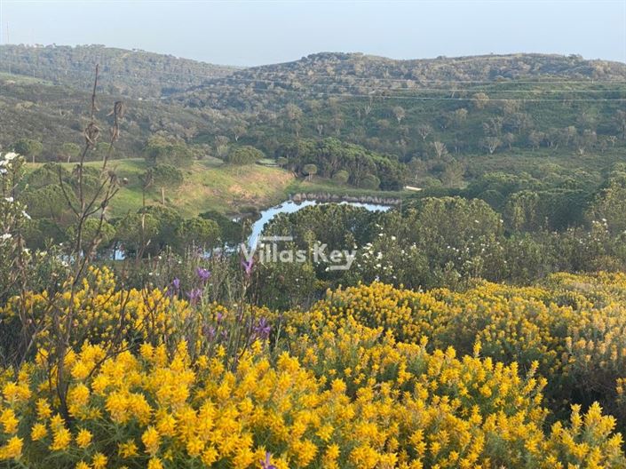 Image No.25-Terrain à vendre à Lagos
