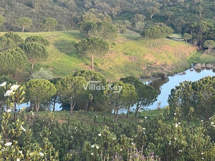 Image No.8-Terrain à vendre à Lagos