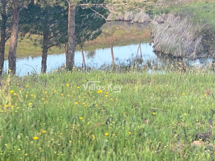 Image No.10-Terrain à vendre à Lagos