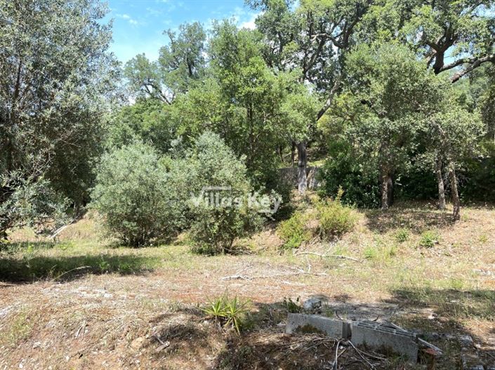 Image No.31-Maison de 2 chambres à vendre à Monchique