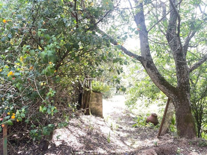 Image No.32-Maison de 2 chambres à vendre à Monchique