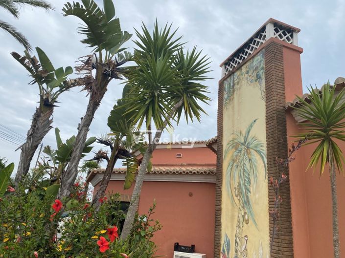 Image No.26-Commercial à vendre à Lagoa